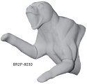 BR2P-8030